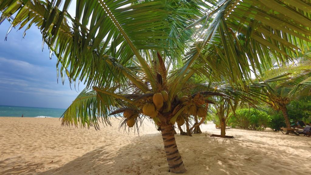 Mangrove Beach Cabana Tangalle Exterior foto