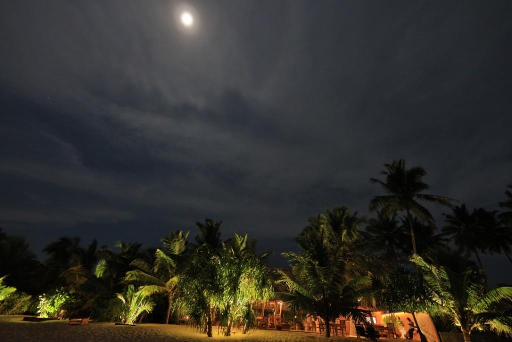 Mangrove Beach Cabana Tangalle Exterior foto