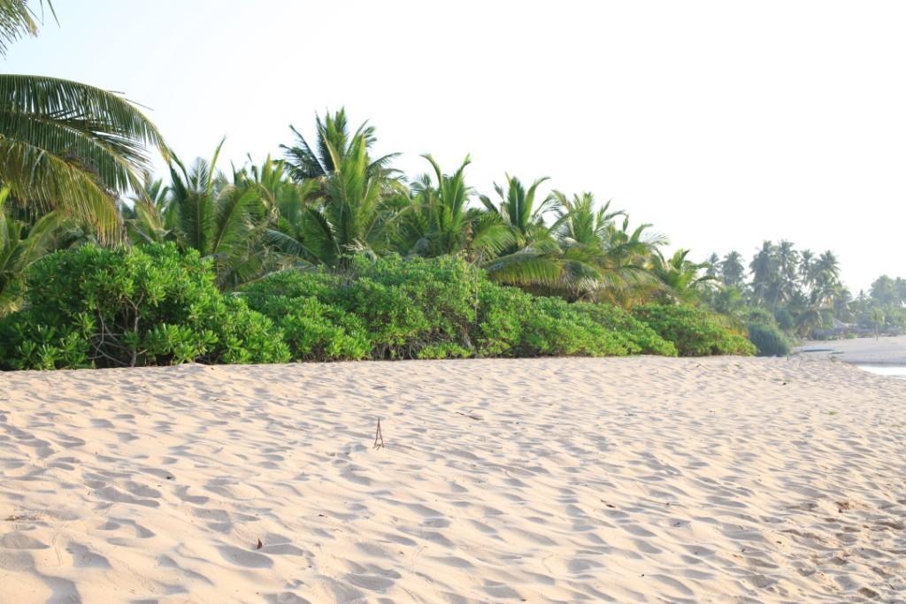 Mangrove Beach Cabana Tangalle Exterior foto